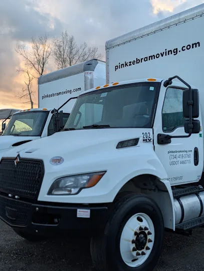 Pink Zebra Moving Of Ann Arbor