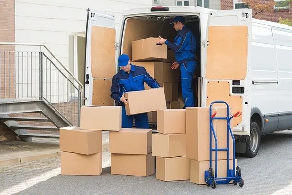 Reasonable Movers photo 3